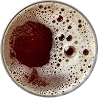 https://www.morar.beer/wp-content/uploads/2017/05/beer_transparent_02.png