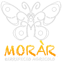 https://www.morar.beer/wp-content/uploads/2023/01/morar_logo_header-1.webp